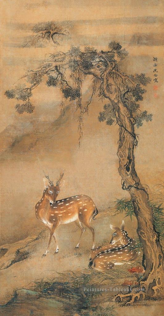 Shenquan Cerf sous un arbre à la chinoise traditionnelle Peintures à l'huile